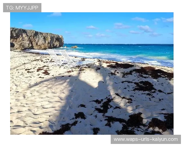 巴巴多斯棒球青训获得国家支持，巴巴多斯视频